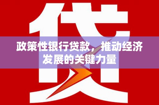 澎湖政策性银行贷款，推动经济发展的关键力量