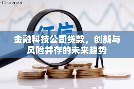 澎湖金融科技公司贷款，创新与风险并存的未来趋势