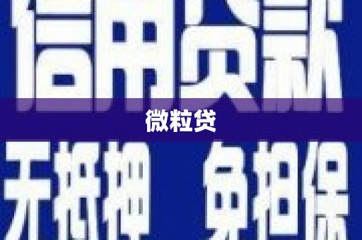 澎湖微粒贷