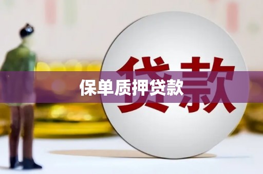 澎湖保单质押贷款