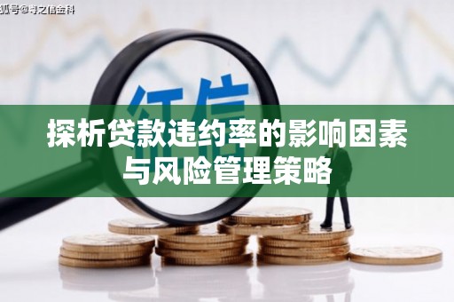 澎湖探析贷款违约率的影响因素与风险管理策略