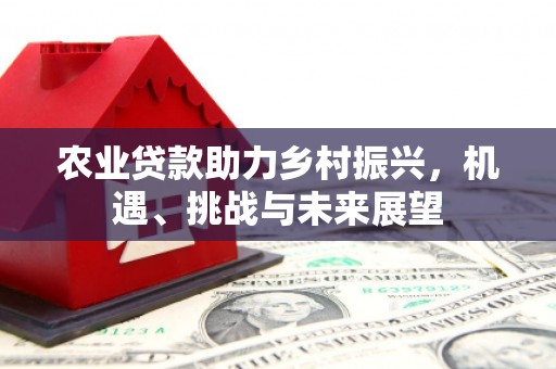 澎湖农业贷款助力乡村振兴，机遇、挑战与未来展望