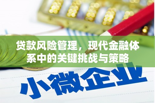 澎湖贷款风险管理，现代金融体系中的关键挑战与策略
