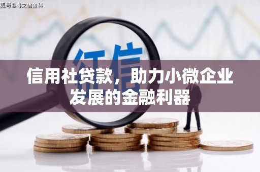 澎湖信用社贷款，助力小微企业发展的金融利器