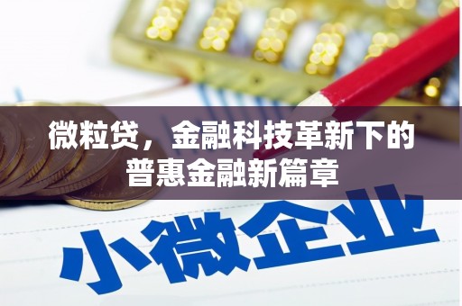 澎湖微粒贷，金融科技革新下的普惠金融新篇章