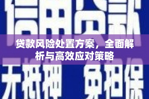 澎湖贷款风险处置方案，全面解析与高效应对策略