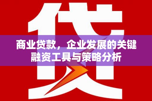 澎湖商业贷款，企业发展的关键融资工具与策略分析