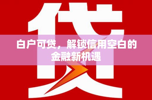 澎湖白户可贷，解锁信用空白的金融新机遇