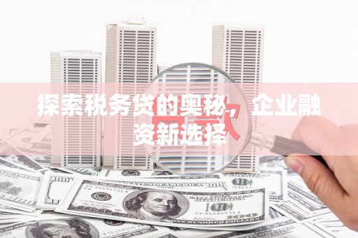 澎湖探索税务贷的奥秘，企业融资新选择