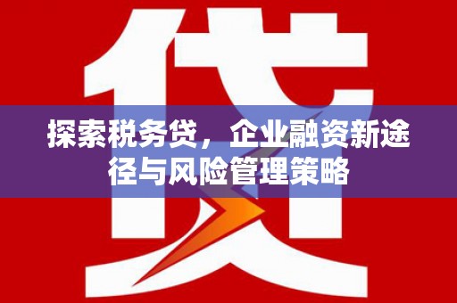 澎湖探索税务贷，企业融资新途径与风险管理策略