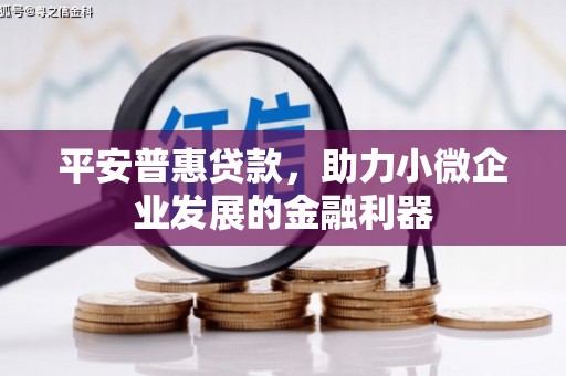 澎湖平安普惠贷款，助力小微企业发展的金融利器
