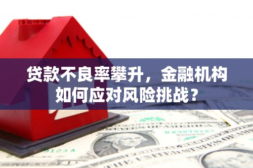澎湖贷款不良率攀升，金融机构如何应对风险挑战？
