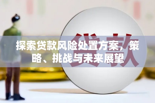 澎湖探索贷款风险处置方案，策略、挑战与未来展望