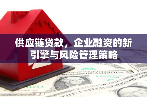 澎湖供应链贷款，企业融资的新引擎与风险管理策略