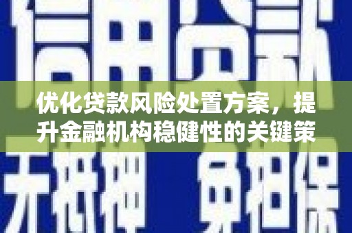 澎湖优化贷款风险处置方案，提升金融机构稳健性的关键策略