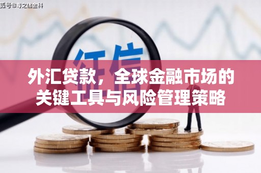 澎湖外汇贷款，全球金融市场的关键工具与风险管理策略
