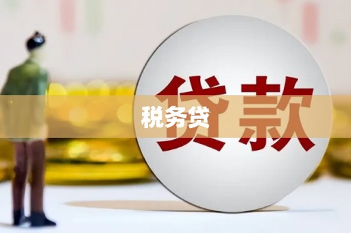 澎湖税务贷