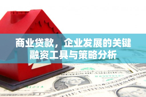 澎湖商业贷款，企业发展的关键融资工具与策略分析