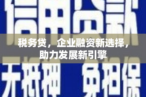 澎湖税务贷，企业融资新选择，助力发展新引擎