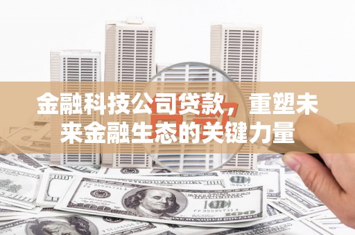 澎湖金融科技公司贷款，重塑未来金融生态的关键力量