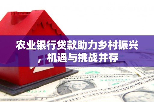 澎湖农业银行贷款助力乡村振兴，机遇与挑战并存