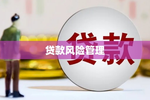 澎湖贷款风险管理