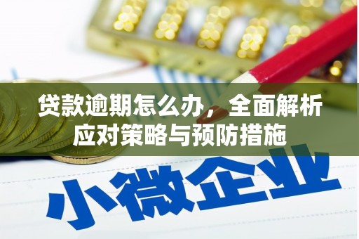 澎湖贷款逾期怎么办，全面解析应对策略与预防措施