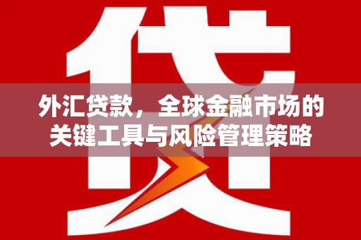 澎湖外汇贷款，全球金融市场的关键工具与风险管理策略