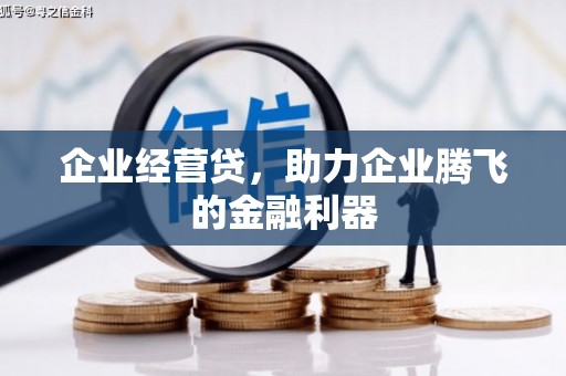 澎湖企业经营贷，助力企业腾飞的金融利器