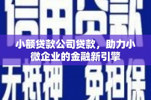 澎湖小额贷款公司贷款，助力小微企业的金融新引擎