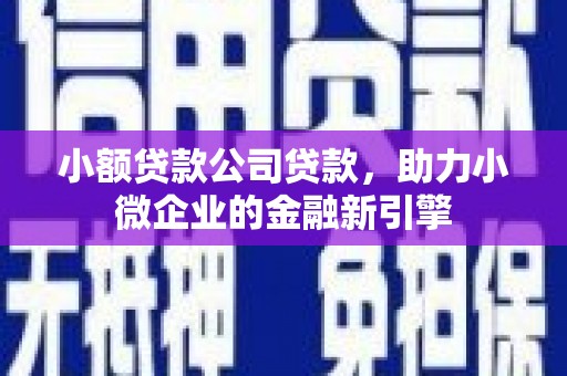 澎湖小额贷款公司贷款，助力小微企业的金融新引擎