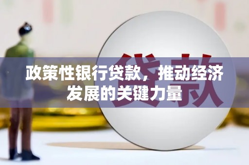 澎湖政策性银行贷款，推动经济发展的关键力量