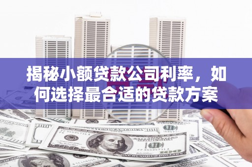 澎湖揭秘小额贷款公司利率，如何选择最合适的贷款方案