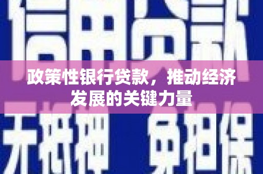 澎湖政策性银行贷款，推动经济发展的关键力量