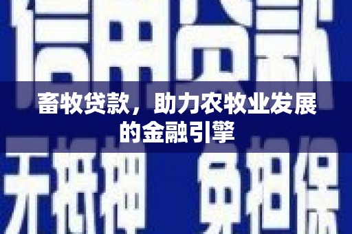 澎湖畜牧贷款，助力农牧业发展的金融引擎
