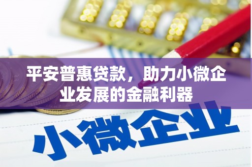 澎湖平安普惠贷款，助力小微企业发展的金融利器