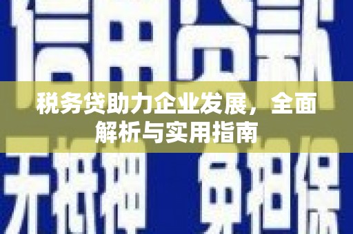 澎湖税务贷助力企业发展，全面解析与实用指南