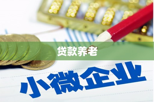 澎湖贷款养老