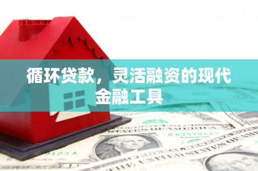 澎湖循环贷款，灵活融资的现代金融工具