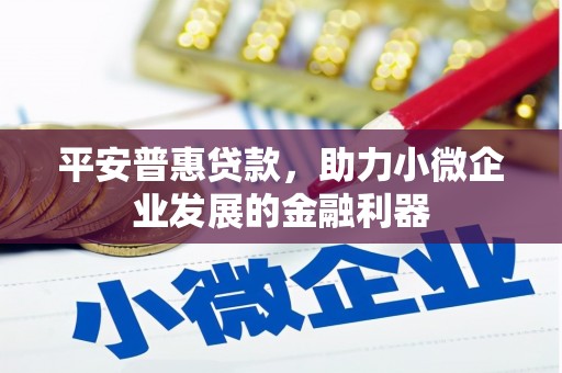 澎湖平安普惠贷款，助力小微企业发展的金融利器