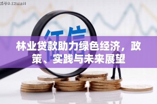 澎湖林业贷款助力绿色经济，政策、实践与未来展望