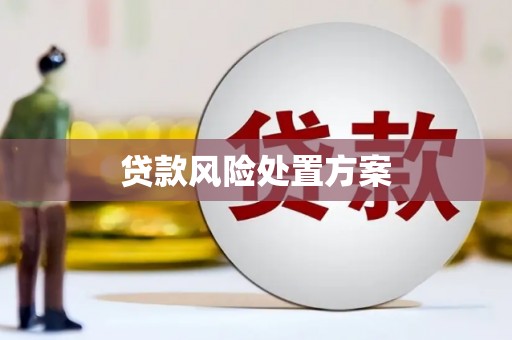 澎湖贷款风险处置方案