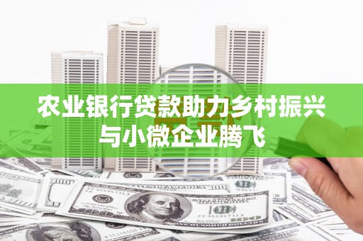 澎湖农业银行贷款助力乡村振兴与小微企业腾飞