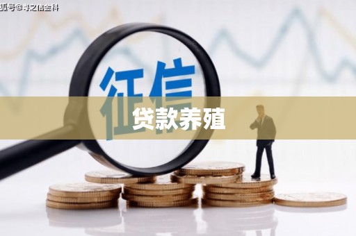 澎湖贷款养殖