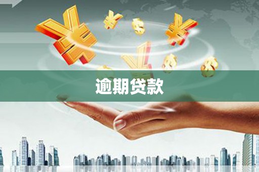 澎湖逾期贷款