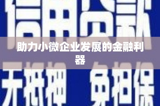 澎湖助力小微企业发展的金融利器