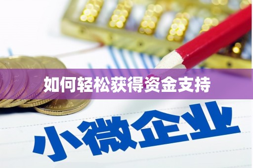 澎湖如何轻松获得资金支持