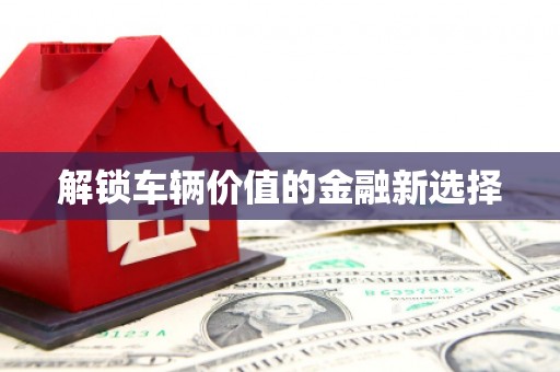 澎湖解锁车辆价值的金融新选择
