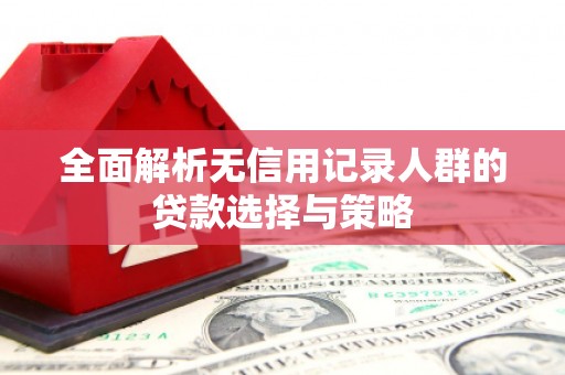 澎湖全面解析无信用记录人群的贷款选择与策略