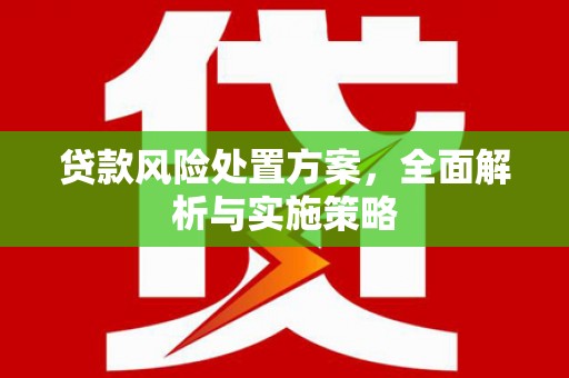 澎湖贷款风险处置方案，全面解析与实施策略